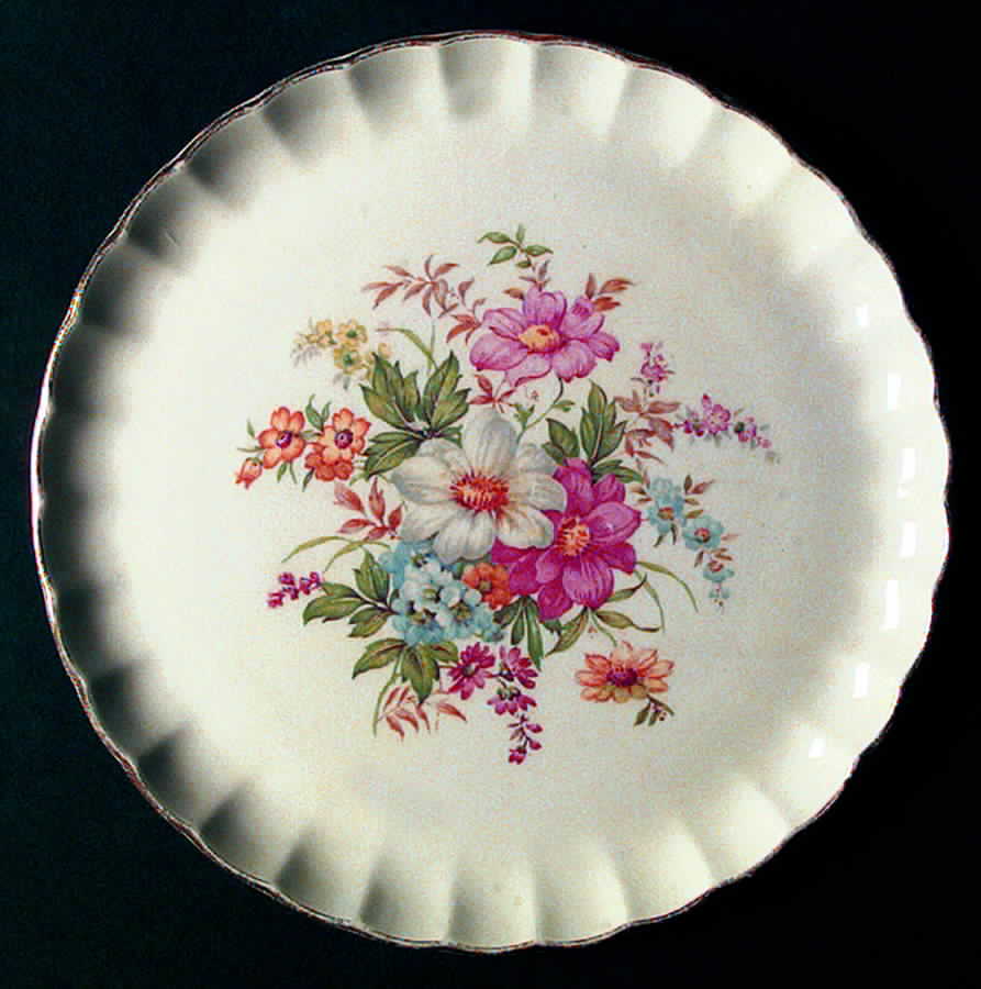 GEO237 Dinner Plate by WS George-1