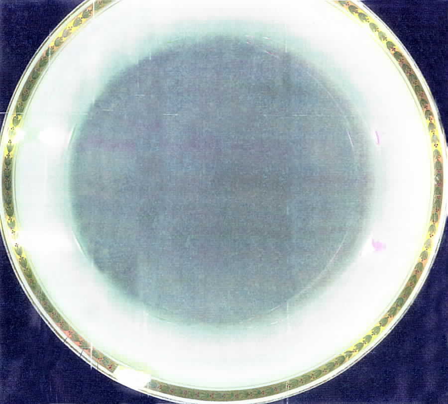 GUE306 Dinner Plate by WM Guerin-1