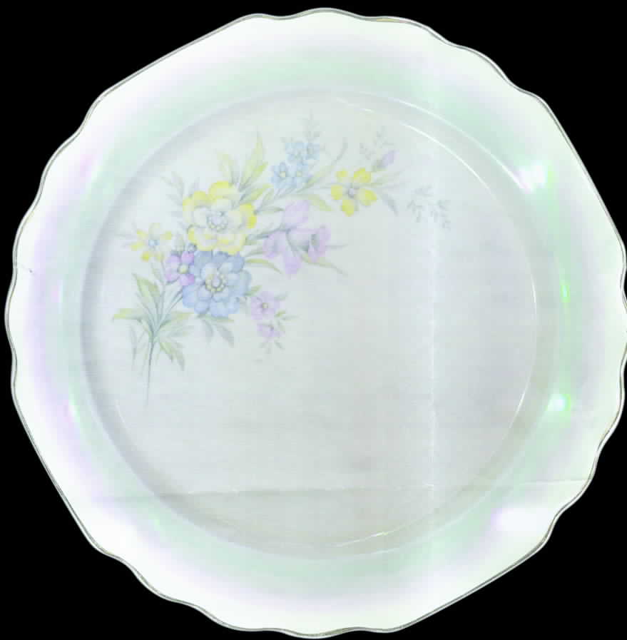 GEO241 Dinner Plate by WS George-1