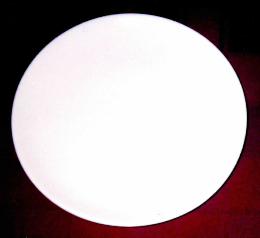 GAI1 Dinner Plate by Gambles Import-1