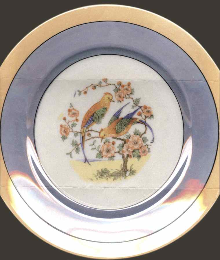 GMY46 Dinner Plate by Germany-1