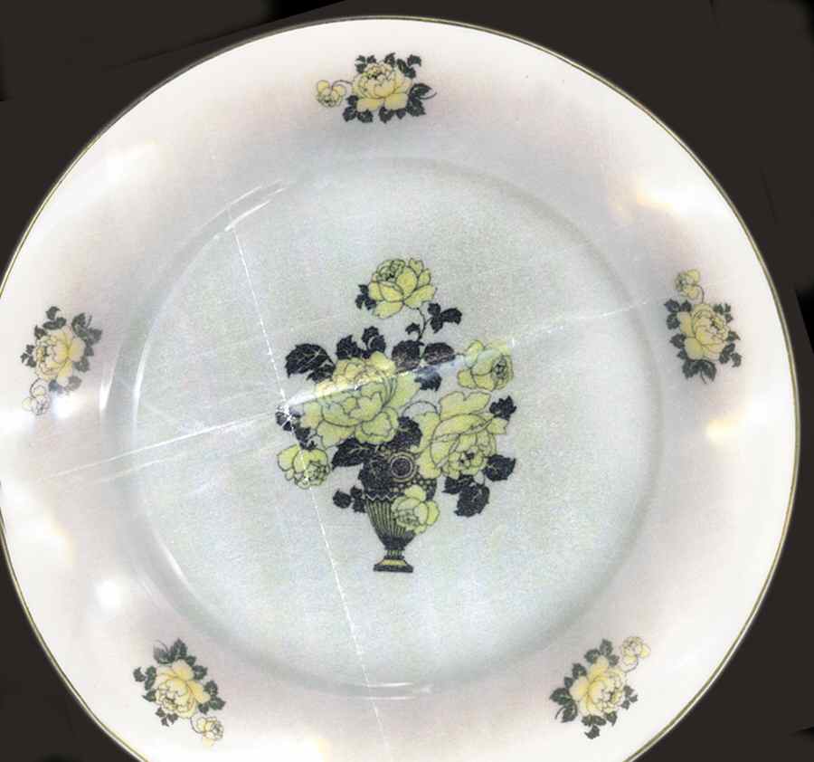 SCD171 Dinner Plate by Schonwald-1