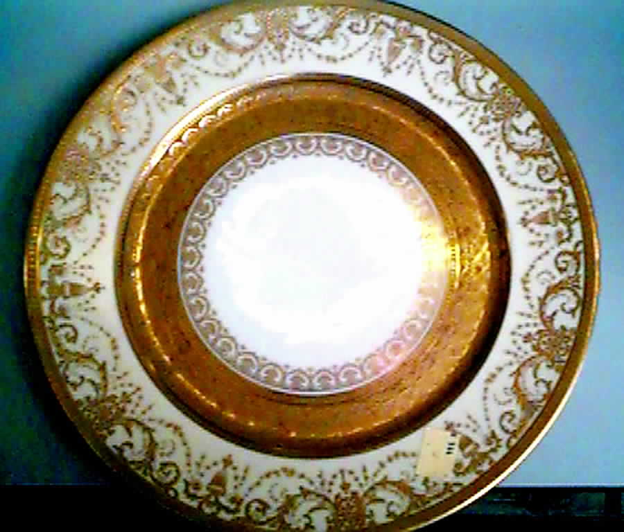 GUE315 Dinner Plate by WM Guerin-1
