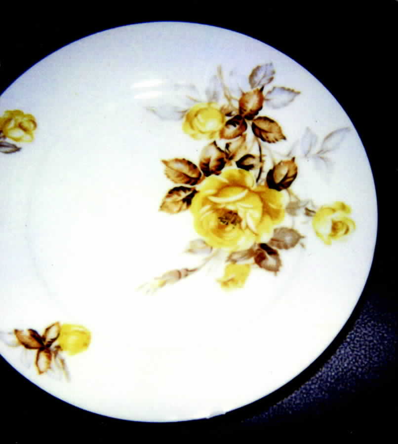 GEC8 Dinner Plate by Gem China-1