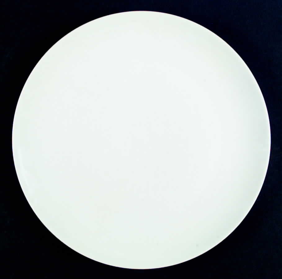 GIR9 Dinner Plate by Giraud China-1