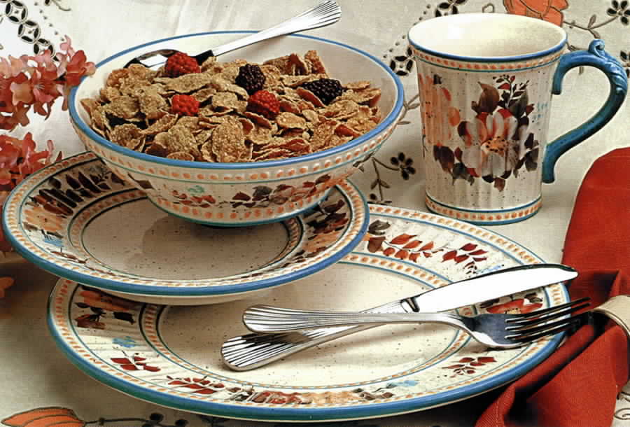 Ambrosia Dinner Plate by Gibson Designs-1