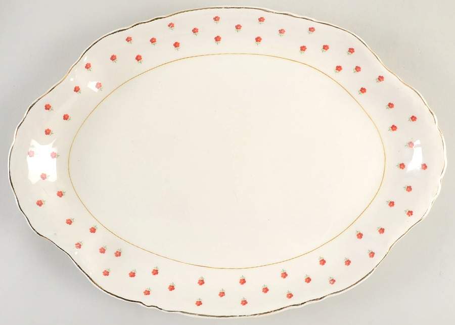 Blushing Rose Dalrymple (Radisson Shape) 15" Oval Serving Platter by WS George-1