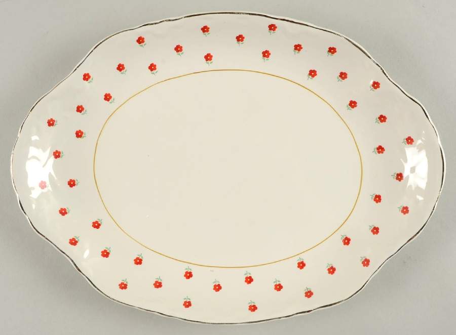Blushing Rose Dalrymple (Radisson Shape) 11" Oval Serving Platter by WS George-1