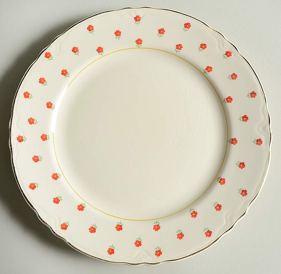 Blushing Rose Dalrymple (Radisson Shape) Luncheon Plate by WS George-1