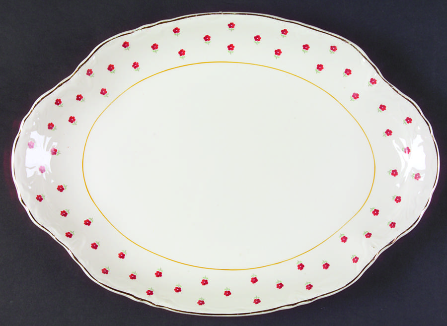 Blushing Rose Dalrymple (Radisson Shape) 13" Oval Serving Platter by WS George-1