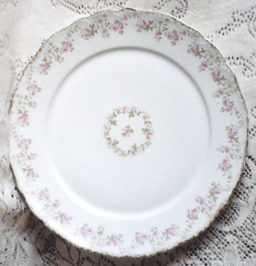 GUE354  Dinner Plate by WM Guerin-1