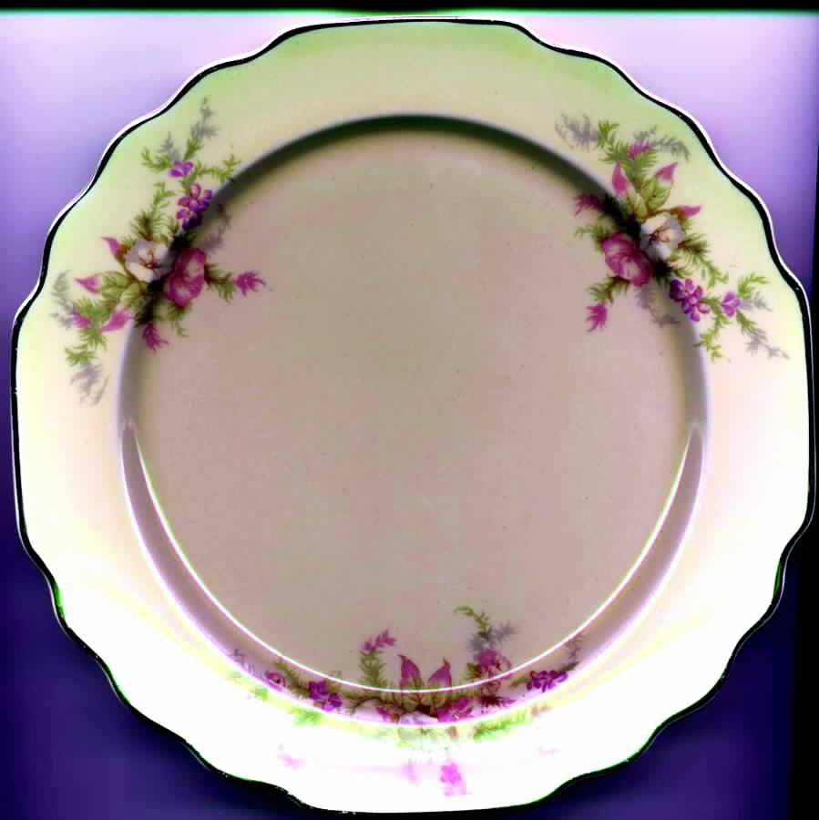 GEO282 Bread & Butter Plate by WS George-1