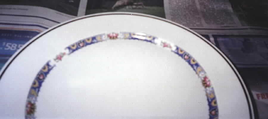 Columbia Dinner Plate by WS George-1