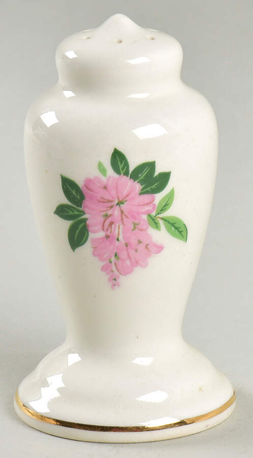 GEO289 Pepper Shaker by WS George-1