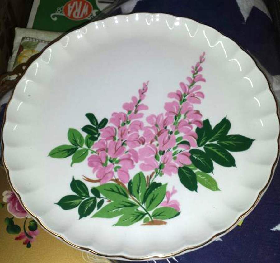 GEO289 Dinner Plate by WS George-1