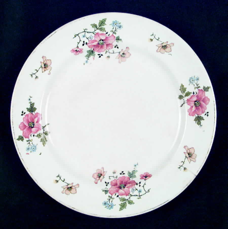 GEO290 Dinner Plate by WS George-1