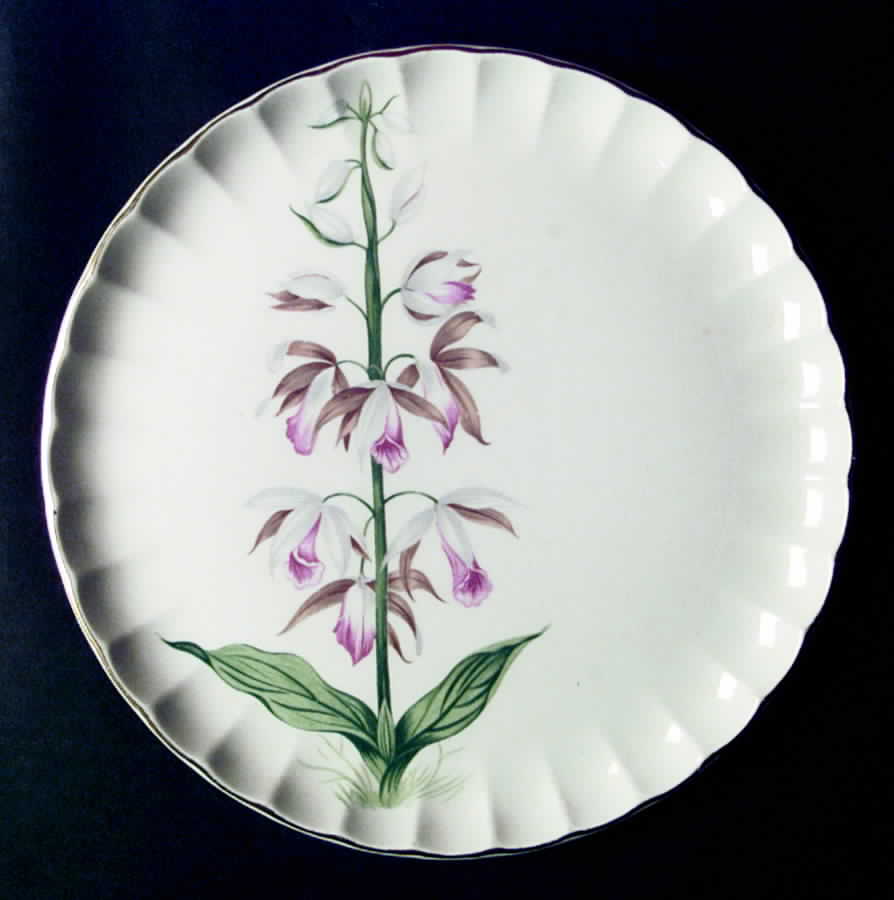 GEO291 Dinner Plate by WS George-1