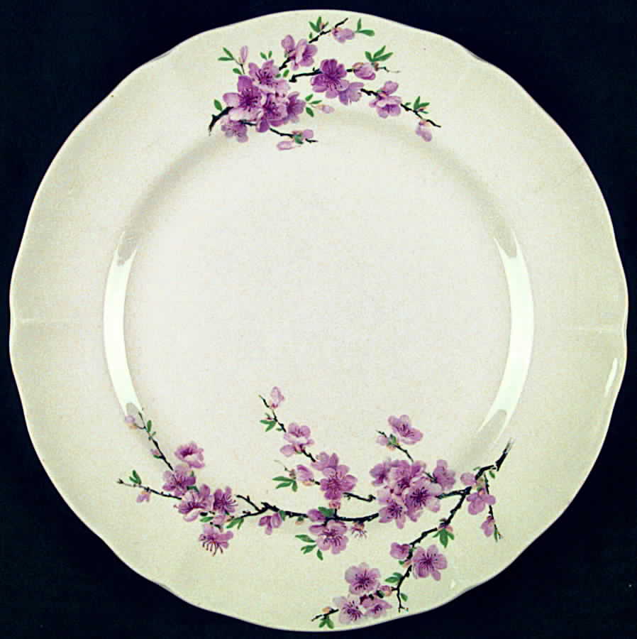 GEO293 Dinner Plate by WS George-1
