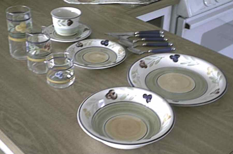VILLA FLORA Coupe Soup Bowl by Gibson Designs-1