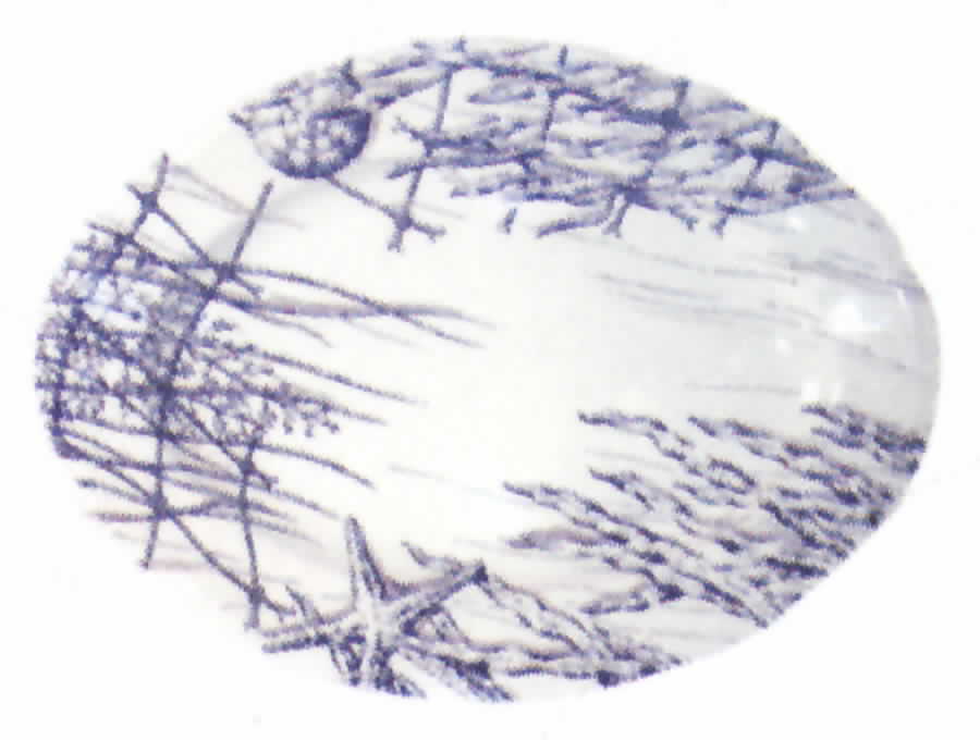 Ocean Blue (Bleu) 13" Oval Serving Platter by Faiencerie De Gien-1