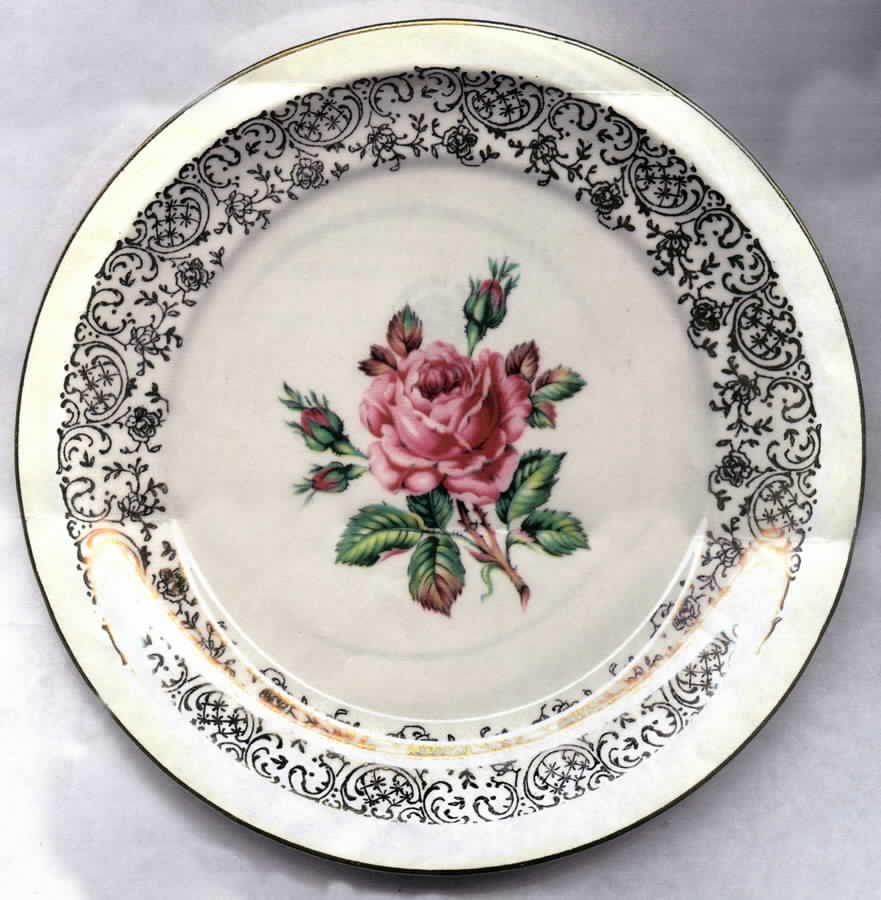 Cornish Rose Dinner Plate by Georgian China-1