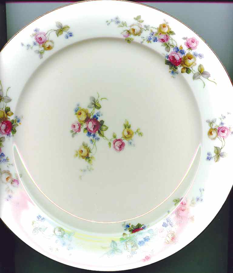 GMY100 Dinner Plate by Germany-1