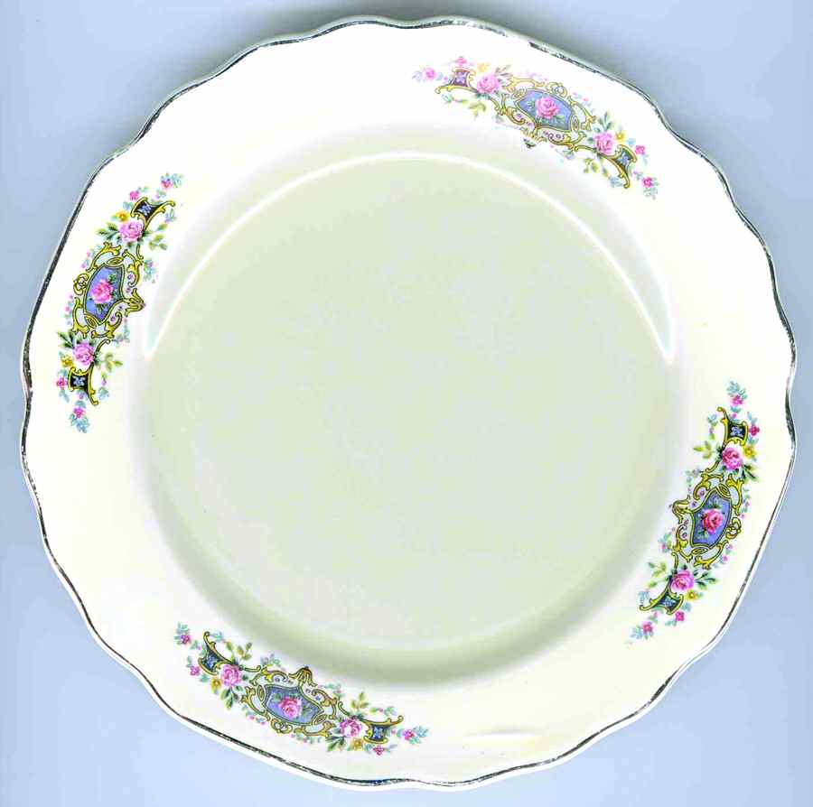 GEO321 Dinner Plate by WS George-1