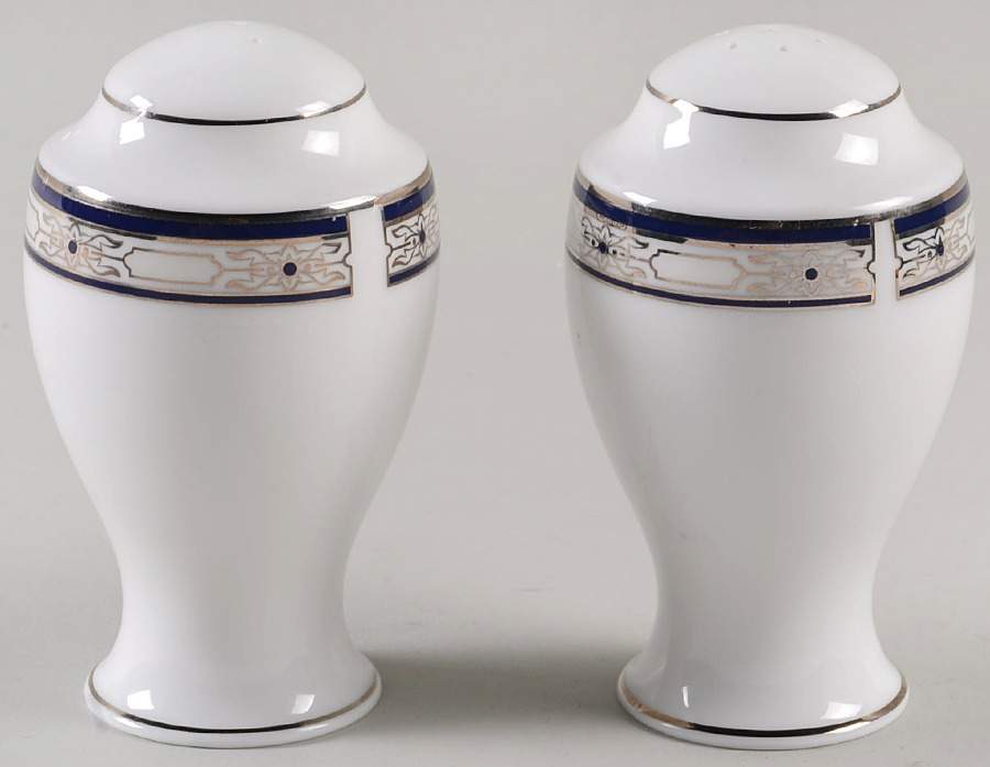 Newport Palace (Fine China, Made in USA) Salt & Pepper Set by Gorham-1