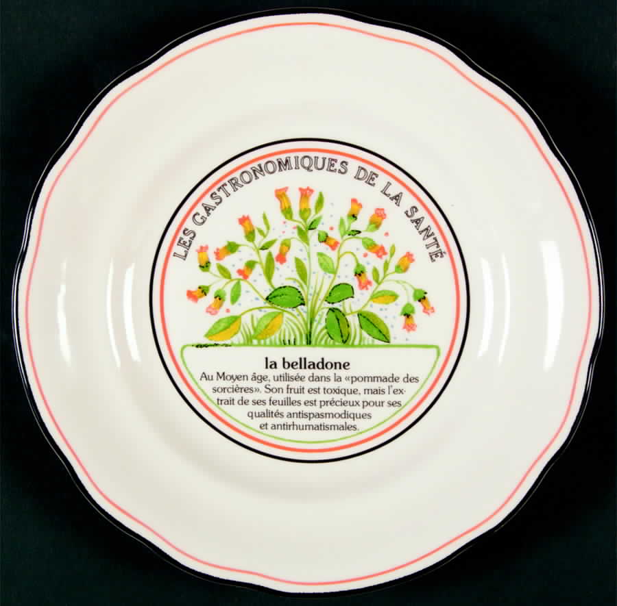 Les Gastronomiques Jardin Enchant Salad Plate by Faiencerie De Gien-1