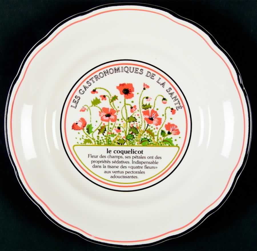 Les Gastronomiques Jardin Enchant Salad Plate by Faiencerie De Gien-1