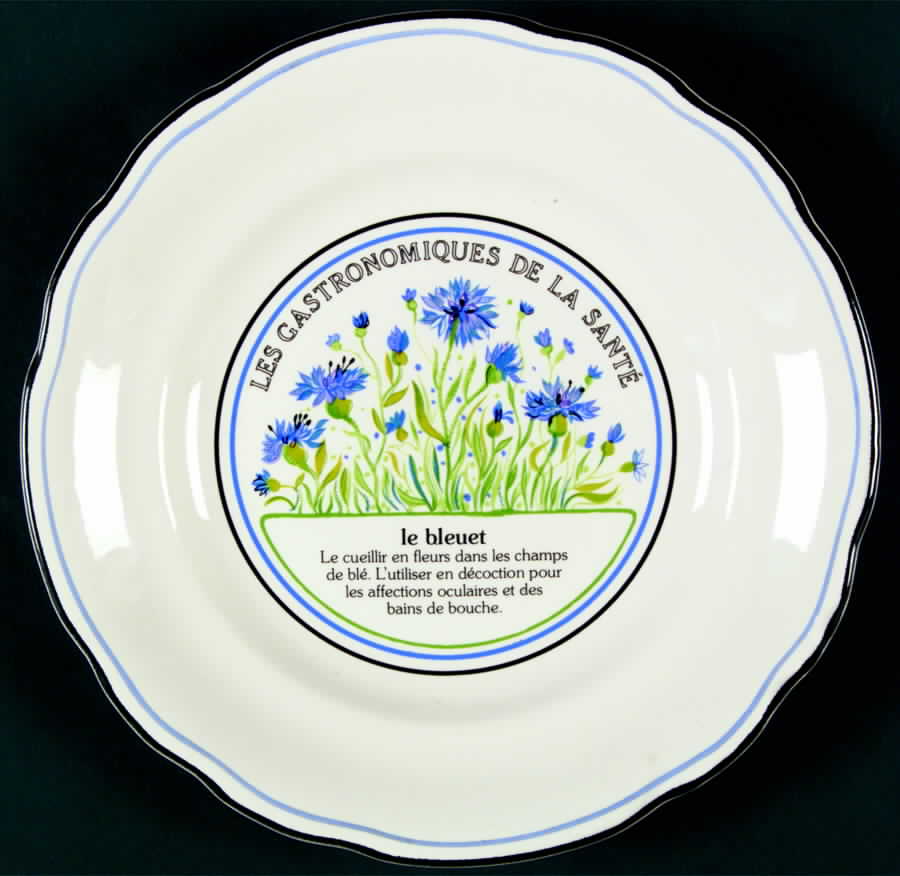 Les Gastronomiques Jardin Enchant Salad Plate by Faiencerie De Gien-1