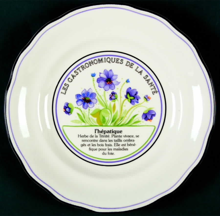 Les Gastronomiques Jardin Enchant Salad Plate by Faiencerie De Gien-1
