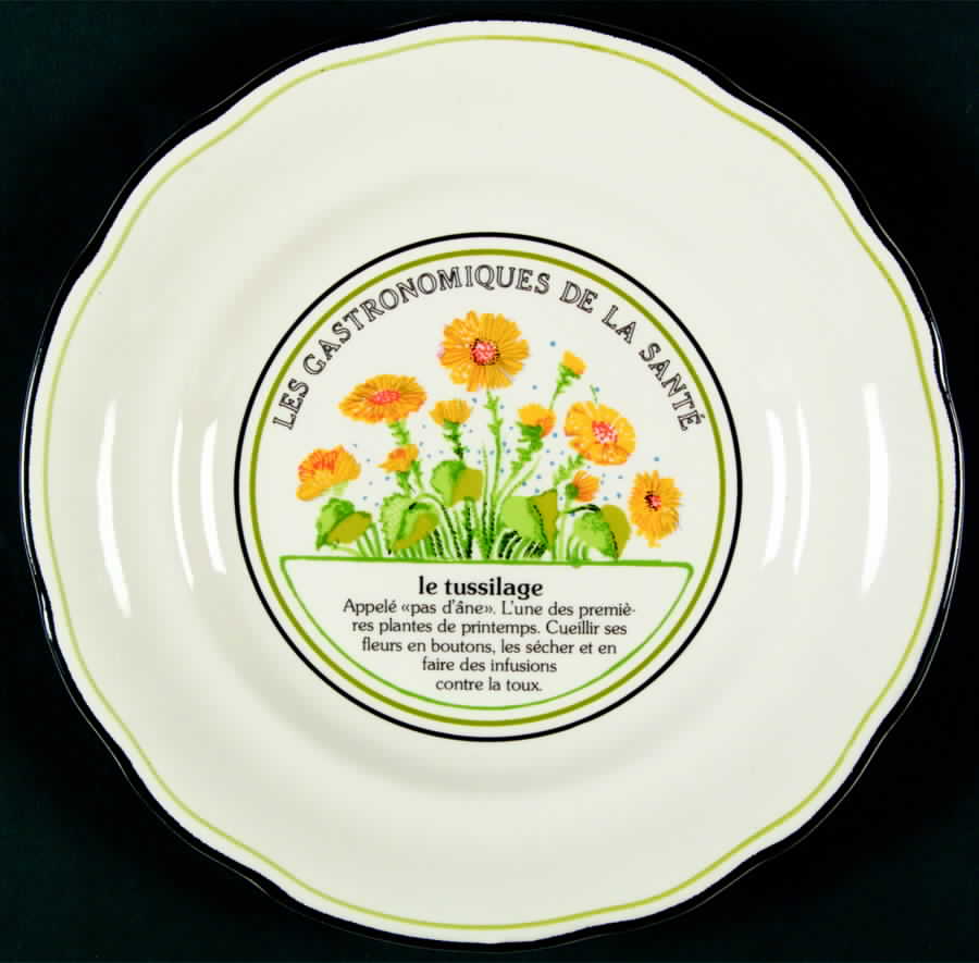 Les Gastronomiques Jardin Enchant Salad Plate by Faiencerie De Gien-1