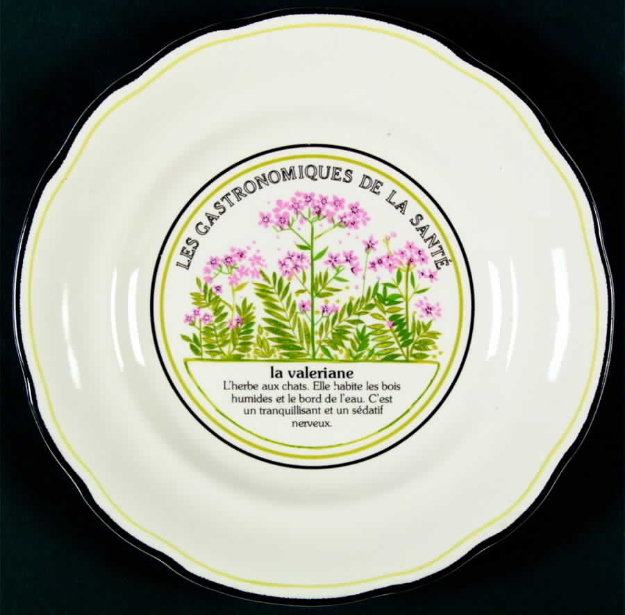 Les Gastronomiques Jardin Enchant Salad Plate by Faiencerie De Gien-1
