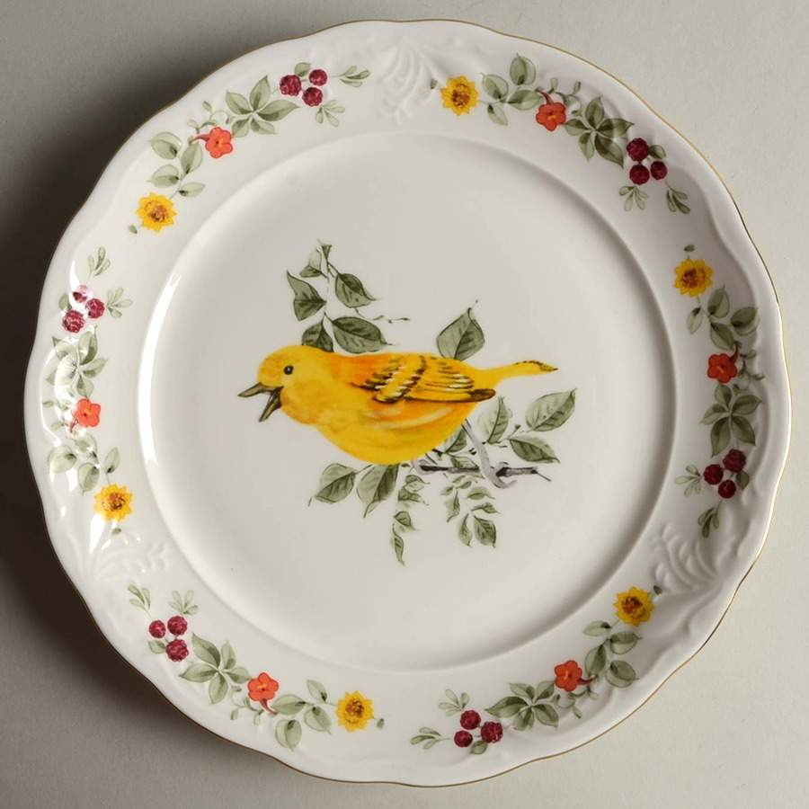 Songbirds (Floral & Fruit) Dinner Plate by Gibson Designs-1