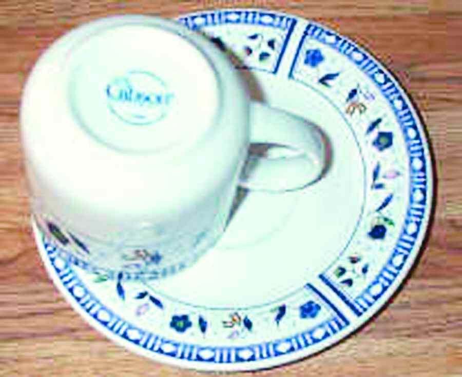 Florales Flat Cup & Saucer Set by Gibson Designs-1