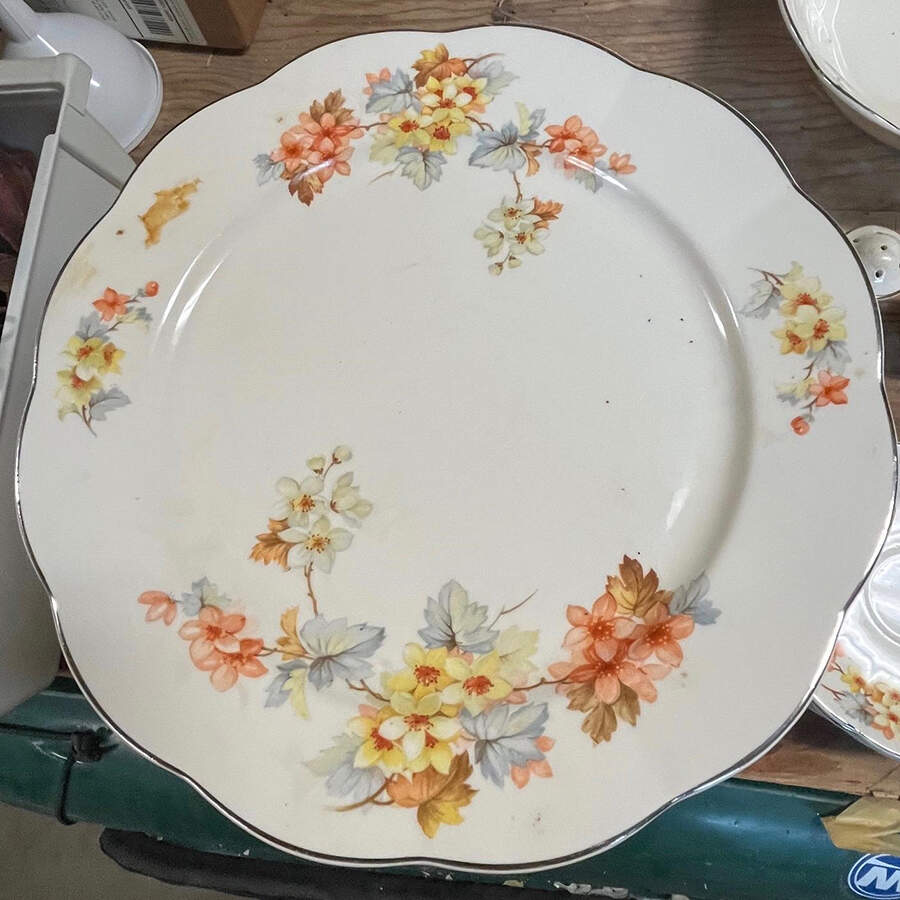 GEO332 Dinner Plate by WS George-1