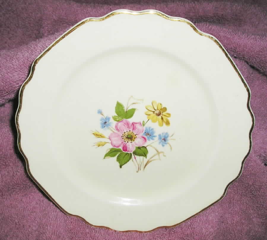 GEO336 Dinner Plate by WS George-1