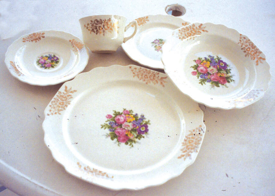 171a Dinner Plate by WS George-1