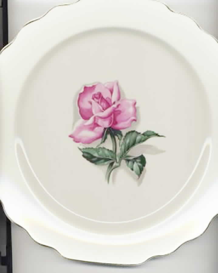 GEO341 Dinner Plate by WS George-1
