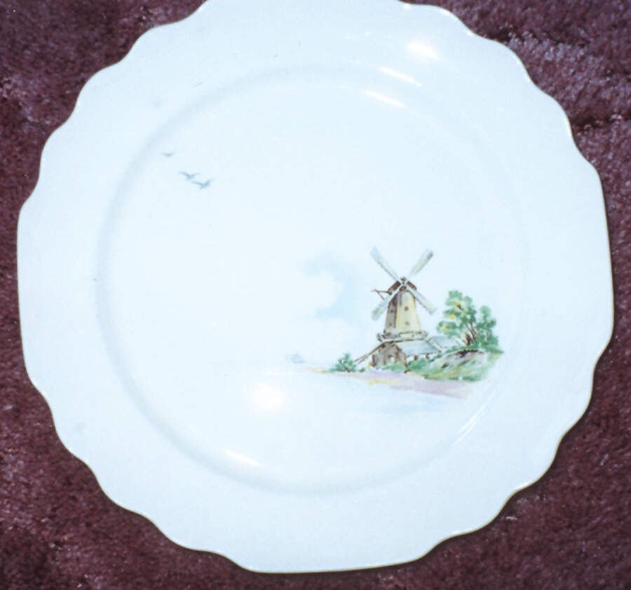 GEO342 Dinner Plate by WS George-1