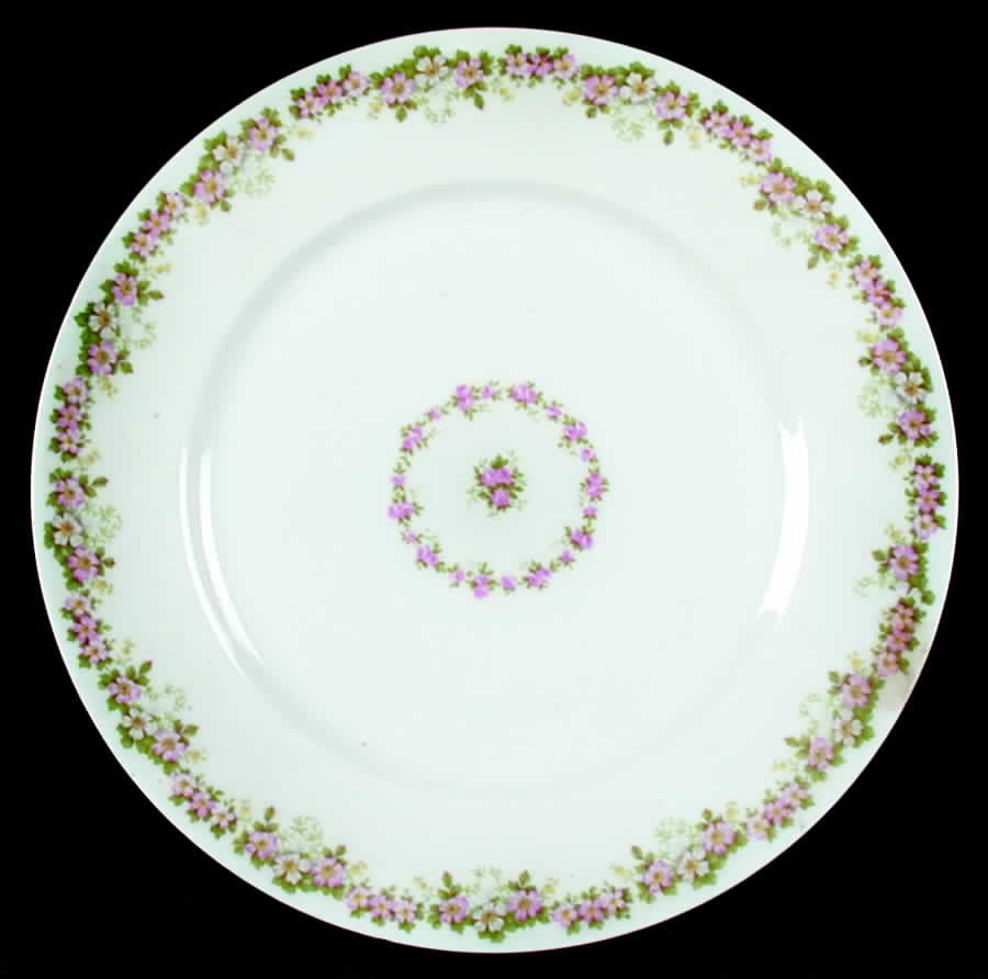 GUE434 Dinner Plate by WM Guerin-1