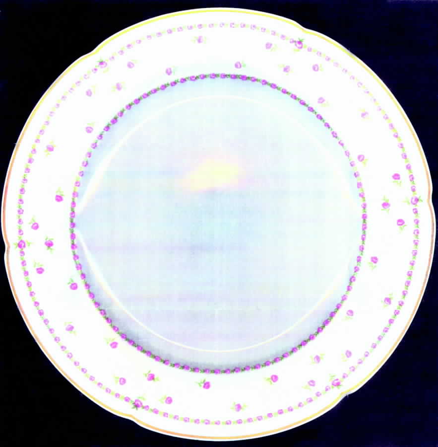 GDA231 Dinner Plate by Gerard, Dufraisseix & Abbot-1