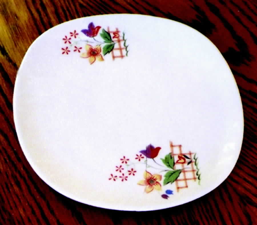 Gaylea (Square) Salad Plate by WS George-1