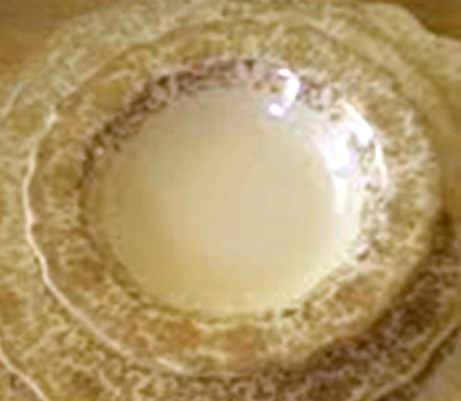 Geo348 Rim Soup Bowl by WS George-1
