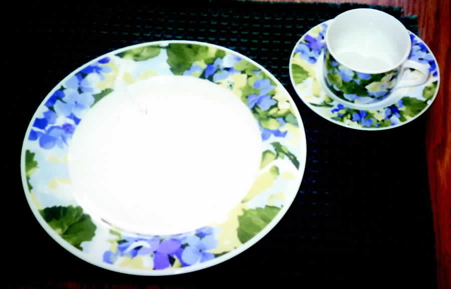 Summer Hydrangea Flat Cup & Saucer Set by Gibson Designs-1
