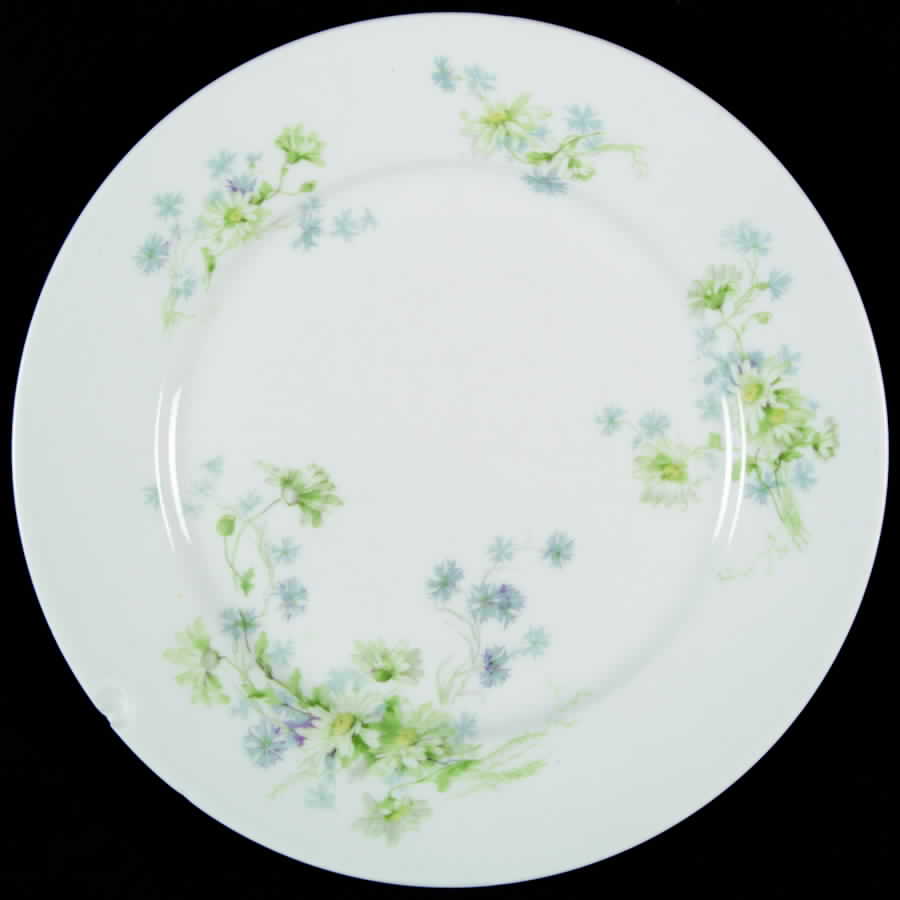 Gue451 Salad Plate by WM Guerin-1