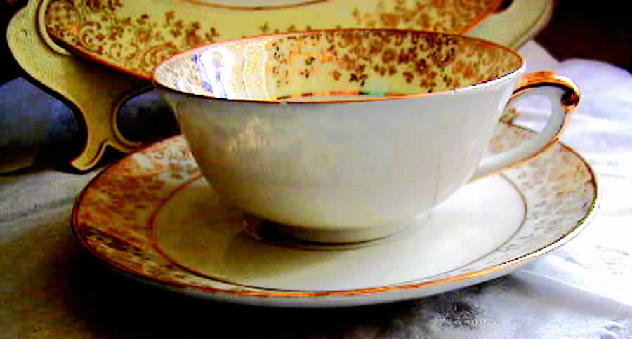 GDA241 Flat Cup & Saucer Set by Gerard, Dufraisseix & Abbot-1