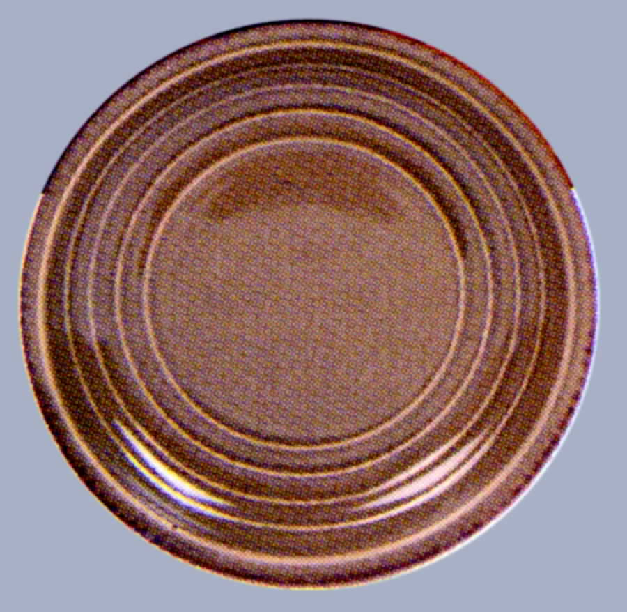 Solid Color Olive Dinner Plate by Gibson Designs-1