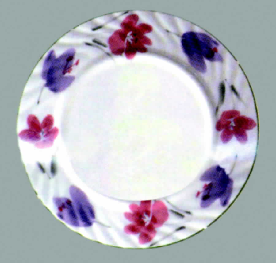 Flowered Meadow Dinner Plate by Gibson Designs-1